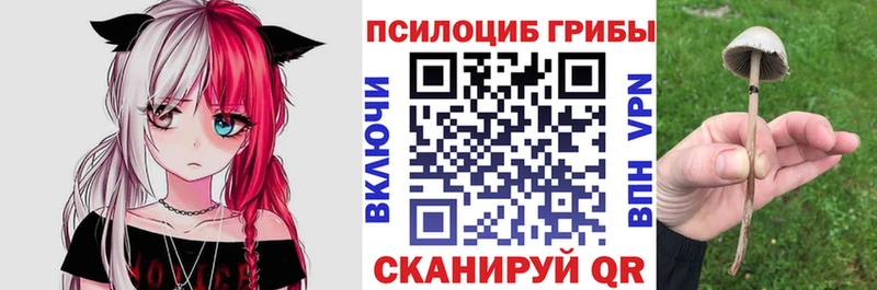 Псилоцибиновые грибы Cubensis  Курск 