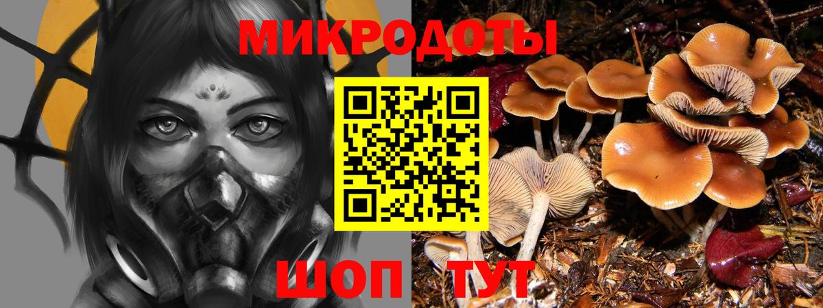 Галлюциногенные грибы мицелий Курск