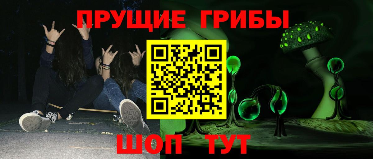 Псилоцибиновые грибы Psilocybe  Вход с VPN  Курск 